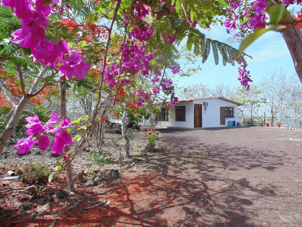 Casa Verde Vacation Garden Home San Cristóbal Exterior foto